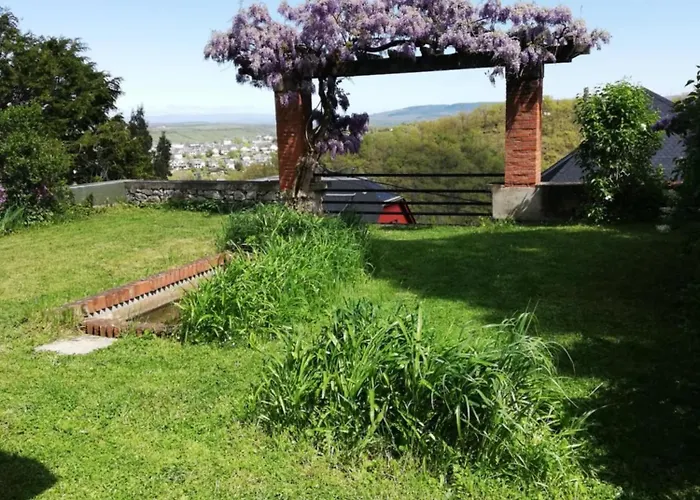 Le Bompard 50 m2 Villa Art Déco Plein centre avec jardin