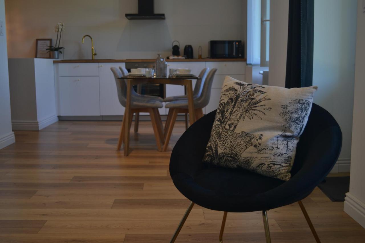 Appartement Le Bompard 50 M2 Art Déco Plein Centre Avec Jardin Rodez