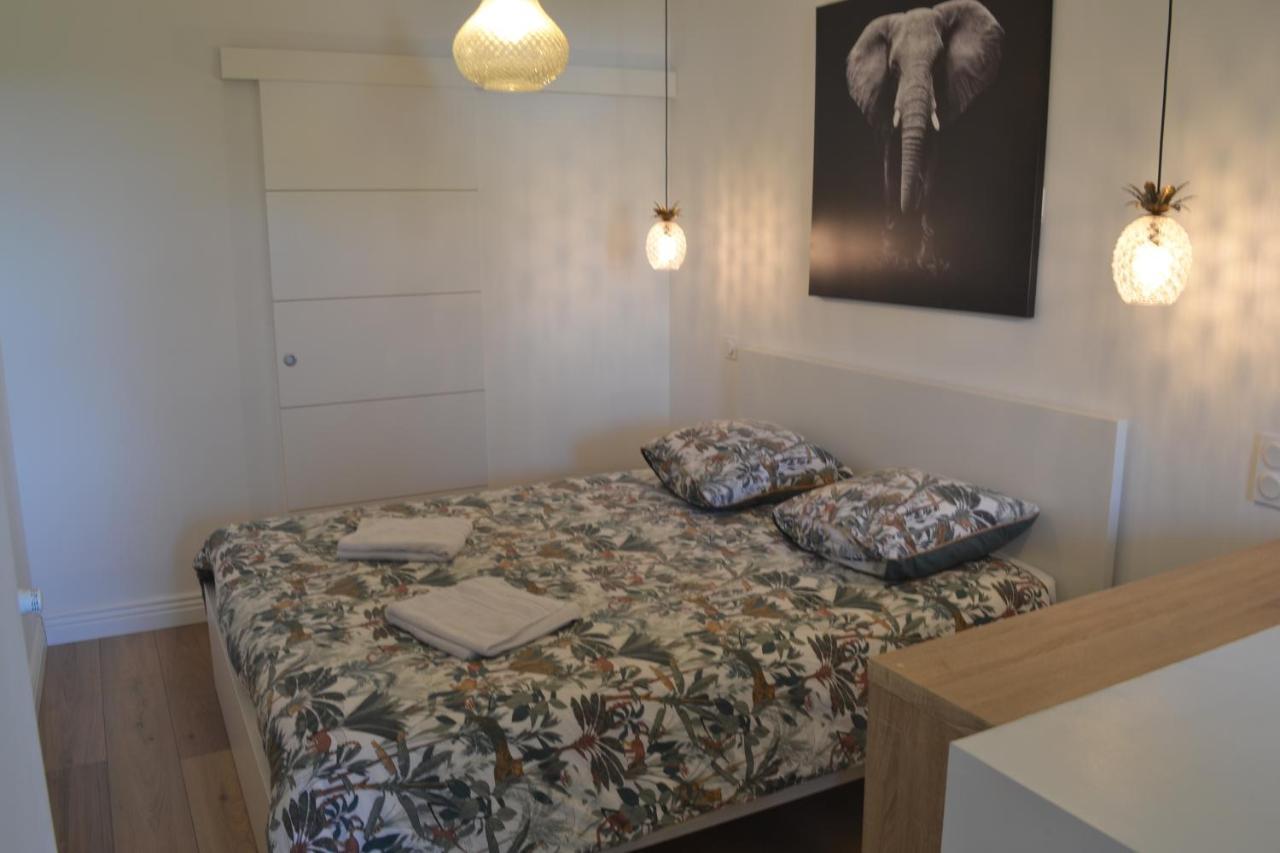 Le Bompard 50 M2 Art Déco Plein Centre Avec Jardin Appartement Rodez