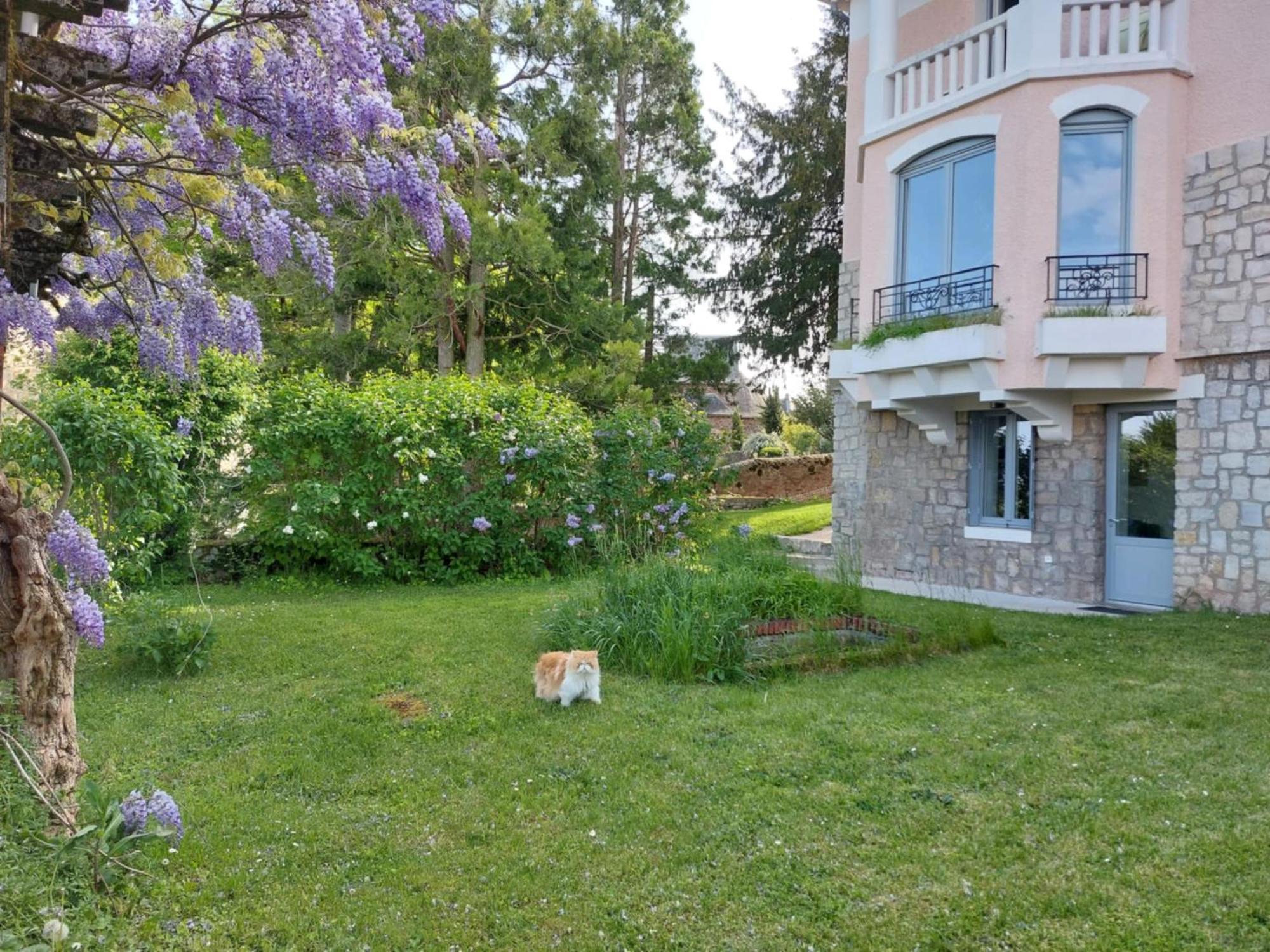 Le Bompard 50 M2 Art Déco Plein Centre Avec Jardin Appartement