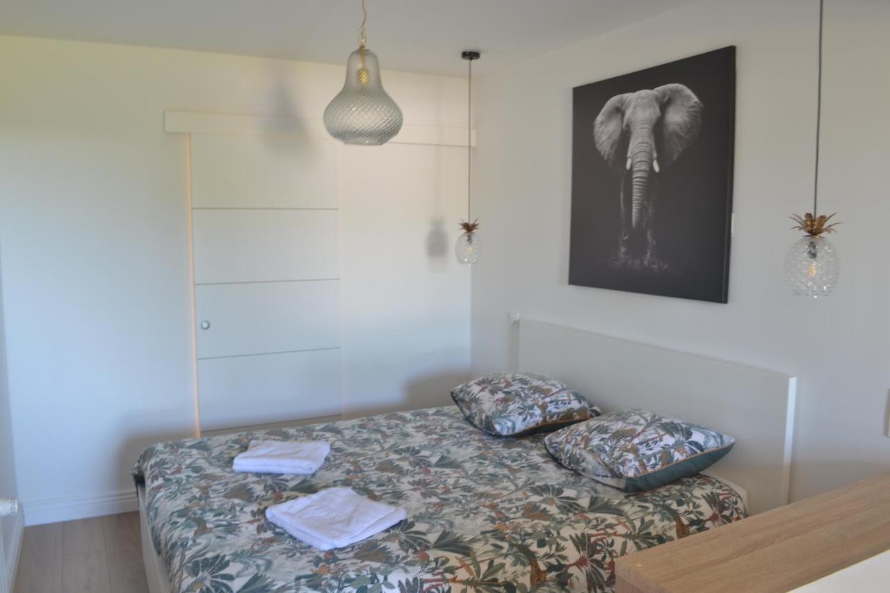 Le Bompard 50 M2 Art Deco Plein Centre Avec Jardin *